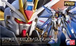 Bandai Gundam 1/144 RG #14 Seed Destiny ZGMF-X20A Strike Freedom Gundam Model Kit -Bandai Zone 4543112851390 b