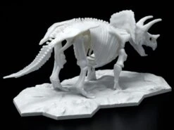Bandai Dinosaur Limex Skeleton Triceratops Model Kit 8 Bandai Dinosaur Limex Skeleton Triceratops Model Kit -Bandai Zone 4573102616609d