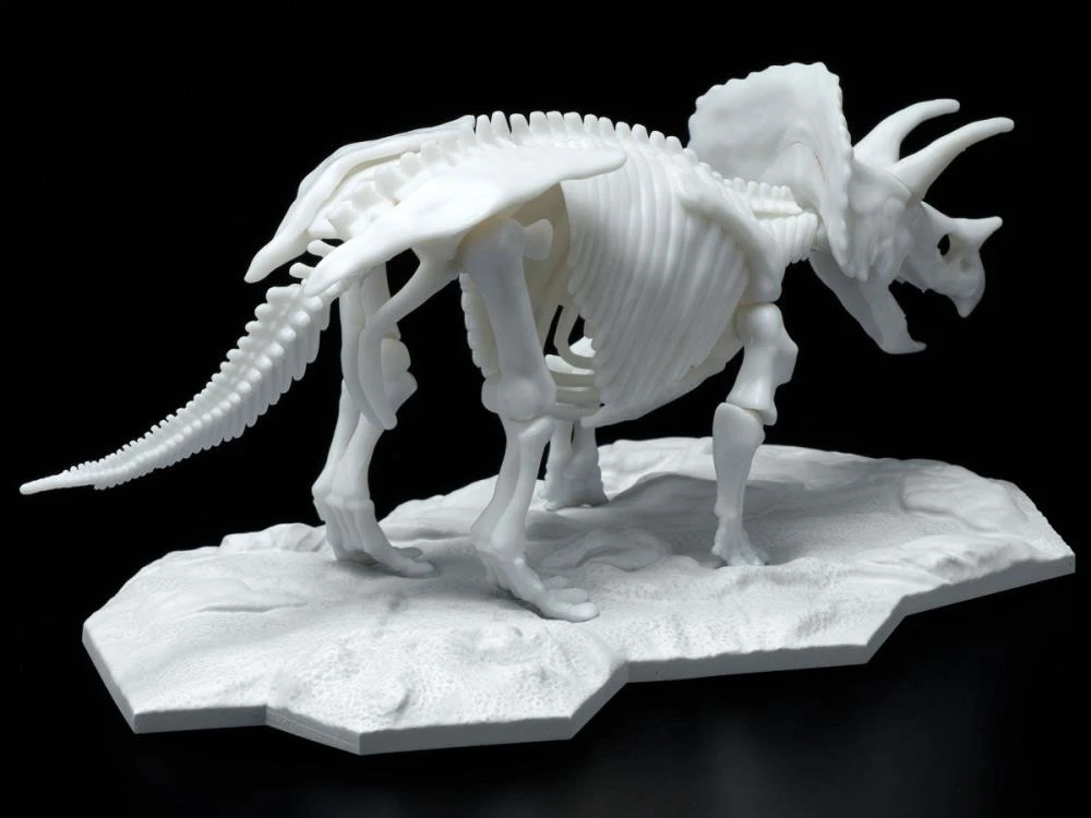 Bandai Dinosaur Limex Skeleton Triceratops Model Kit 5 Bandai Dinosaur Limex Skeleton Triceratops Model Kit - Image 3